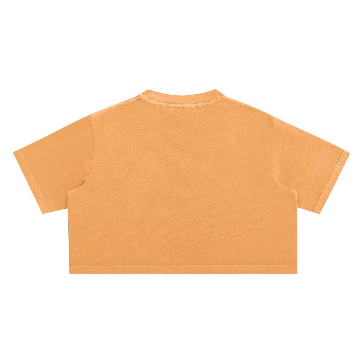 Snow Washed Crop Top