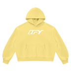 Unisex Vintage Wash Boxy Fleece Hoodie