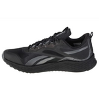 Reebok Floatride Energy 3 Adventure M G58173 Running Shoes