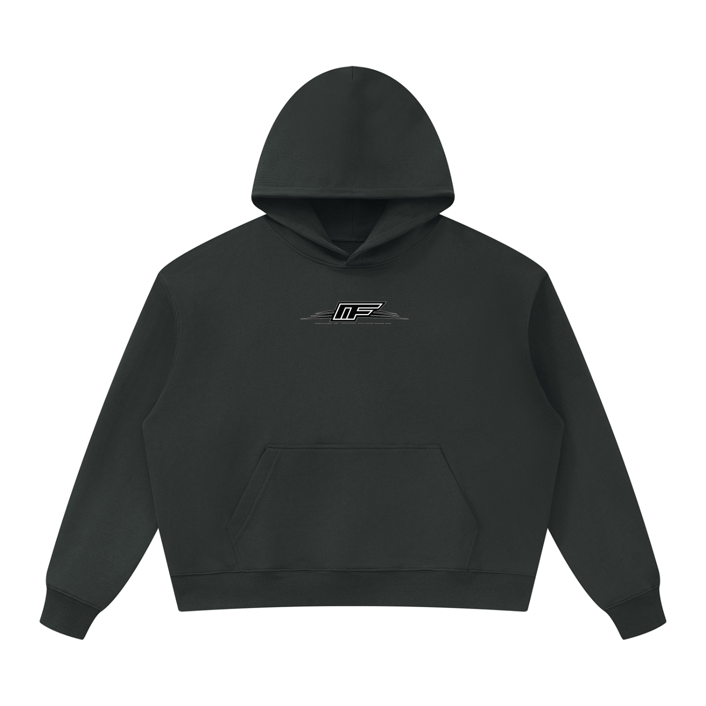 Unisex Oversized Heavyweight Hoodie