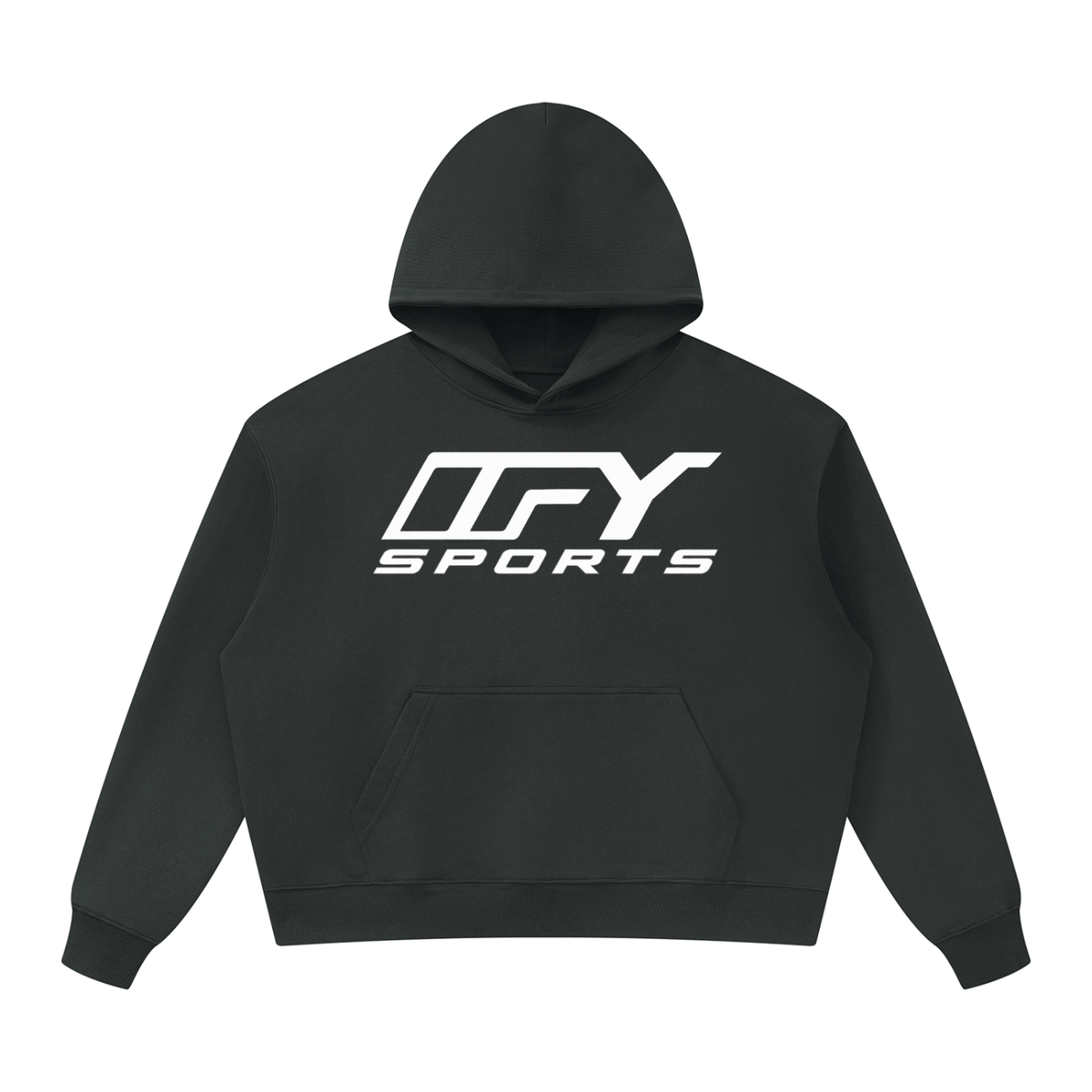 Unisex Oversized Heavyweight Hoodie