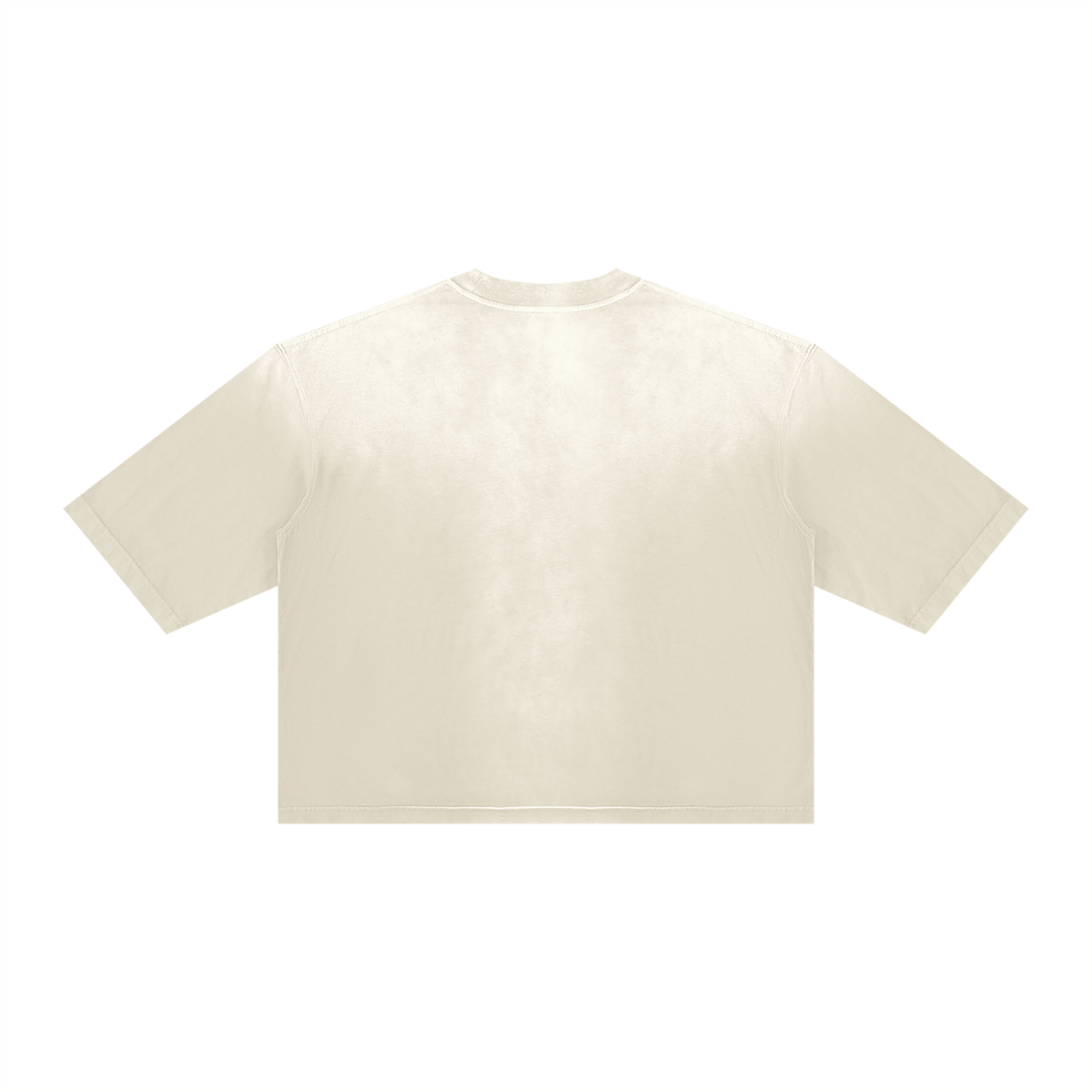 Vintage Wash Sunfade Boxy T-Shirt