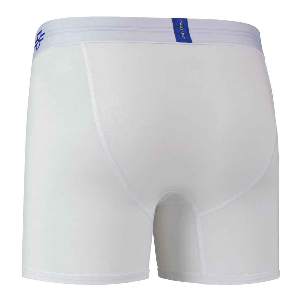 IKON X Men's 6" Boxers - white