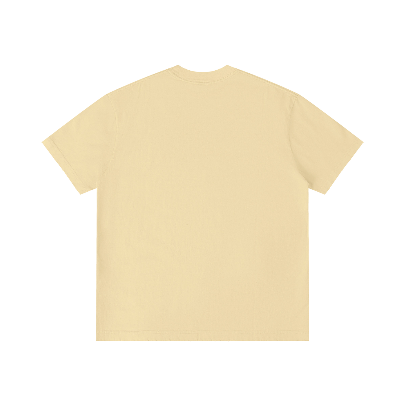 Unisex Vintage Wash Distressed T-Shirt