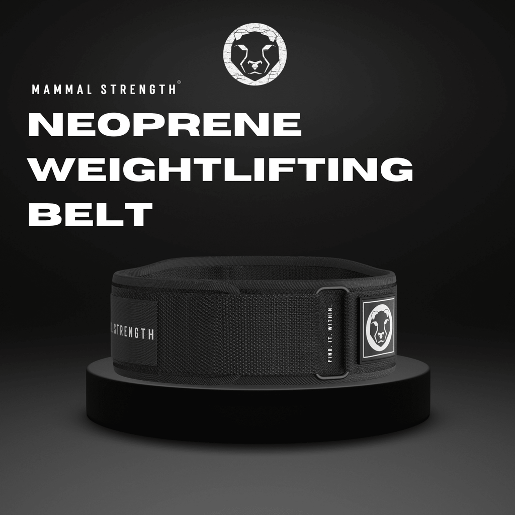 Neoprene Weightlifting Belt "5