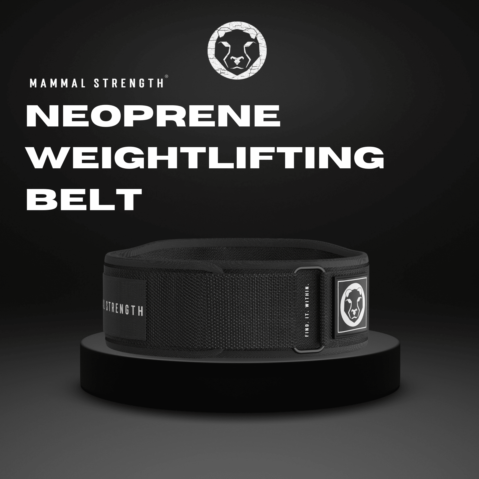 Neoprene Weightlifting Belt "5